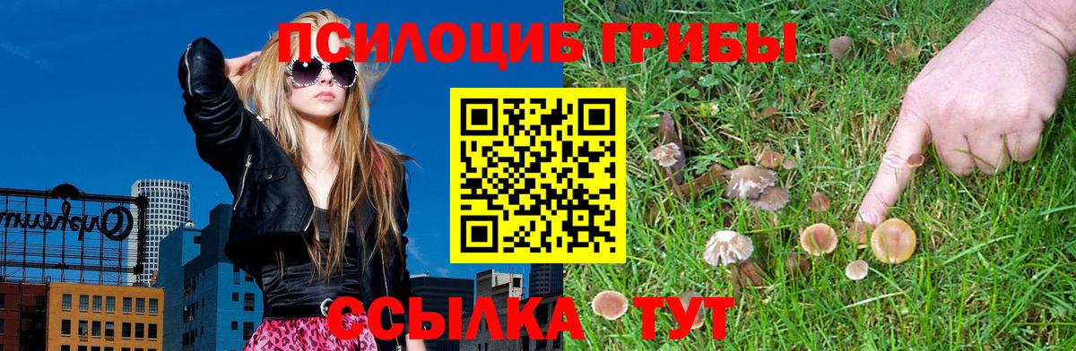 Галлюциногенные грибы Psilocybine cubensis  Вход с VPN  Ейск 